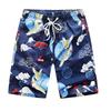 Men's Quick-Dry Beach Shorts - Summer Swimwear, Mid-Length, Unisex Design