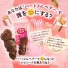 Japan Kit Kat Heartful Bear Share Bag 12 Pieces Nestlé