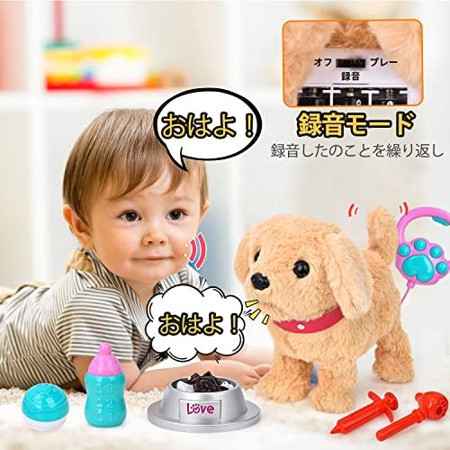 JoyGrow Pretend Play Set, Walk with Your Dog, Moving Plush Toy with Sound, Robot Dog, Pet Care Kit, Doctor Play Toy, Feeding, Educational Toy, Develop