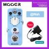 REECHO-Digital Delaying Single Effect for Electric Guitar