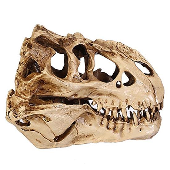 Resin Crafts Dinosaur Tooth Skull Fossil Teaching Skeleton Model Halloween Decor