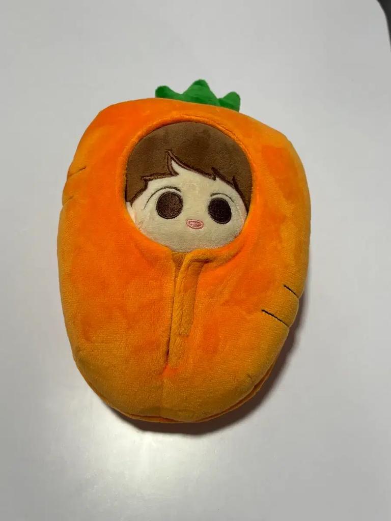 Park Ji-hoon doll Used