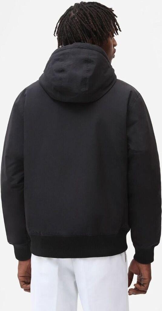 Demiseason Jacket Dickies New Sarpy Jacket (DK0A4XG8) Black