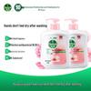 Dettol Kids Antibacterial Hand Wash Family Pack