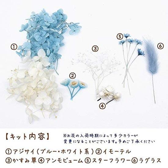 Something Blue Flower Material Set Handicraft Craft Herbarium Flower Material Aroma Wax Sachet Preserved Flowers Hydrangea Breath Immortelle Baby's