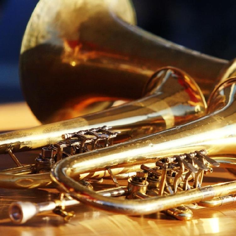 Complete Brass Instrument Repair Tool Set Including Various Instrument for Professional Musician Use and Care