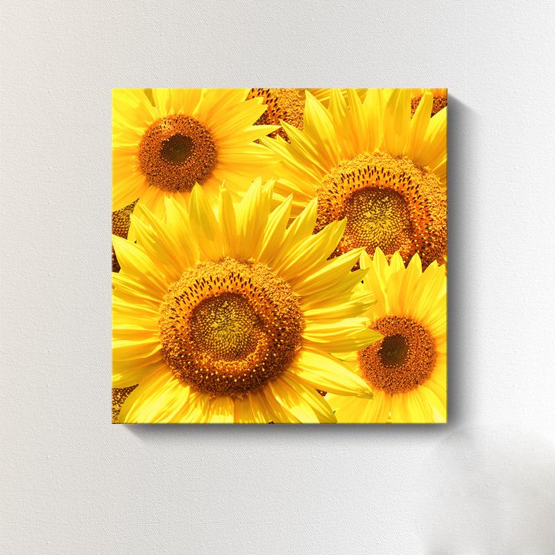 Moderne Sonnenblumen-Leinwandmalerei, nordische Landschaft, HD-Bilder, Blumenplakate und -drucke, Wandkunst, Bilder, Wanddekoration, kein Rahmen