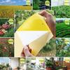 10/20/30 buc. Capcane galbene lipicioase pentru insecte de plante zburătoare de interior/exterior