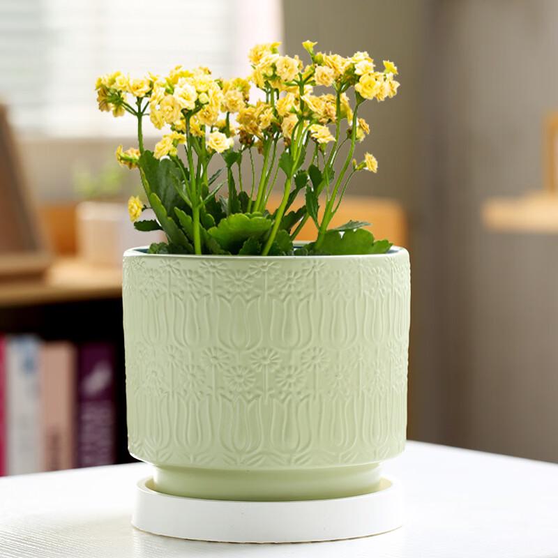 Set of 2 Simple Ceramic Water Drop Planters with Trays