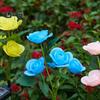 4Pcs Solar Powered Rose Lamp High Efficiency LED Waterproof Outdoor Garden Stake Light with 3D Rose Design