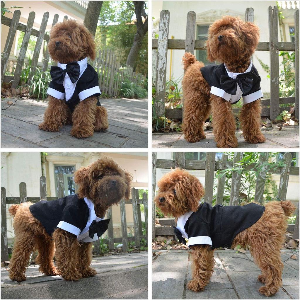 Formeller Smokinganzug mit schwarzer Fliege für kleine Hunde, Haustierkostüm, Haustierspielzeug, Pudelkleidung