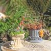 Woondecoratie – Bloempotten