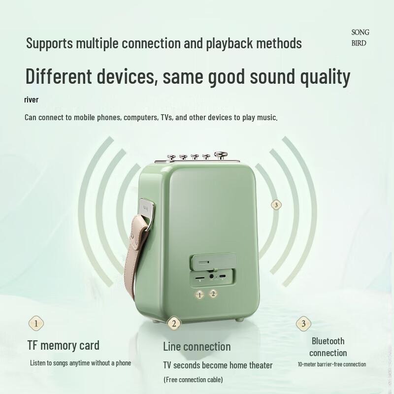 Dianyin Portable KTV Bluetooth Speaker System