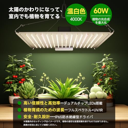 60W LED Grow Light Panel [Improved Heat Dissipation/IP65 Waterproof] Warm White, 256 LEDs, Full Spectrum, UV/IR, Long Life, Quantum Lamp, Indoor Grow