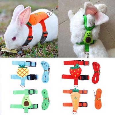 Walking Ferrets Piggies Hedgehogs Rabbit Harness Leash Pet Leads Rope Pet Traction Bunny Costume