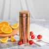 TAIC Pure Titanium Insulated Bottle with Tea Infuser