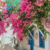 1pz Ramo di Bougainvillea di Seta Resistente ai Raggi UV Fiore Finto Realistico Decorazione Estiva