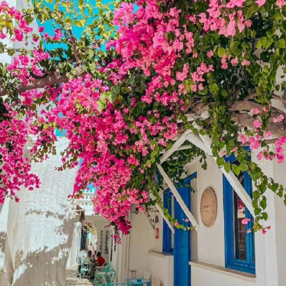 1pz Ramo di Bougainvillea di Seta Resistente ai Raggi UV Fiore Finto Realistico Decorazione Estiva