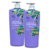 Elastin Delight Wish Perfume Conditioner 1L 2 Pcs