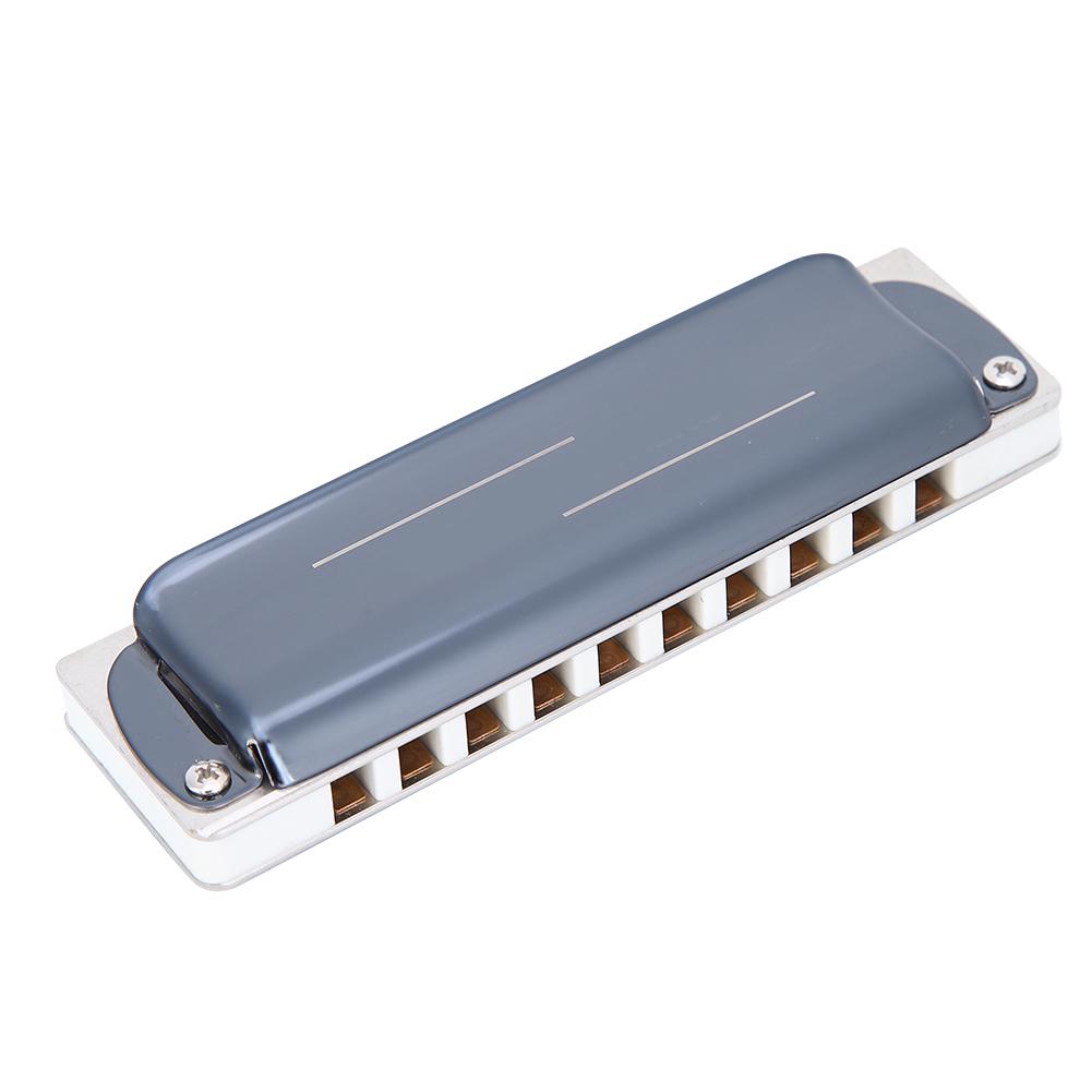 Blues Harp Mundharmonika 10-Loch Mundharmonika Eb Tonart Musikgeschenke Phosphorbronze Stimmzunge(Weiß )