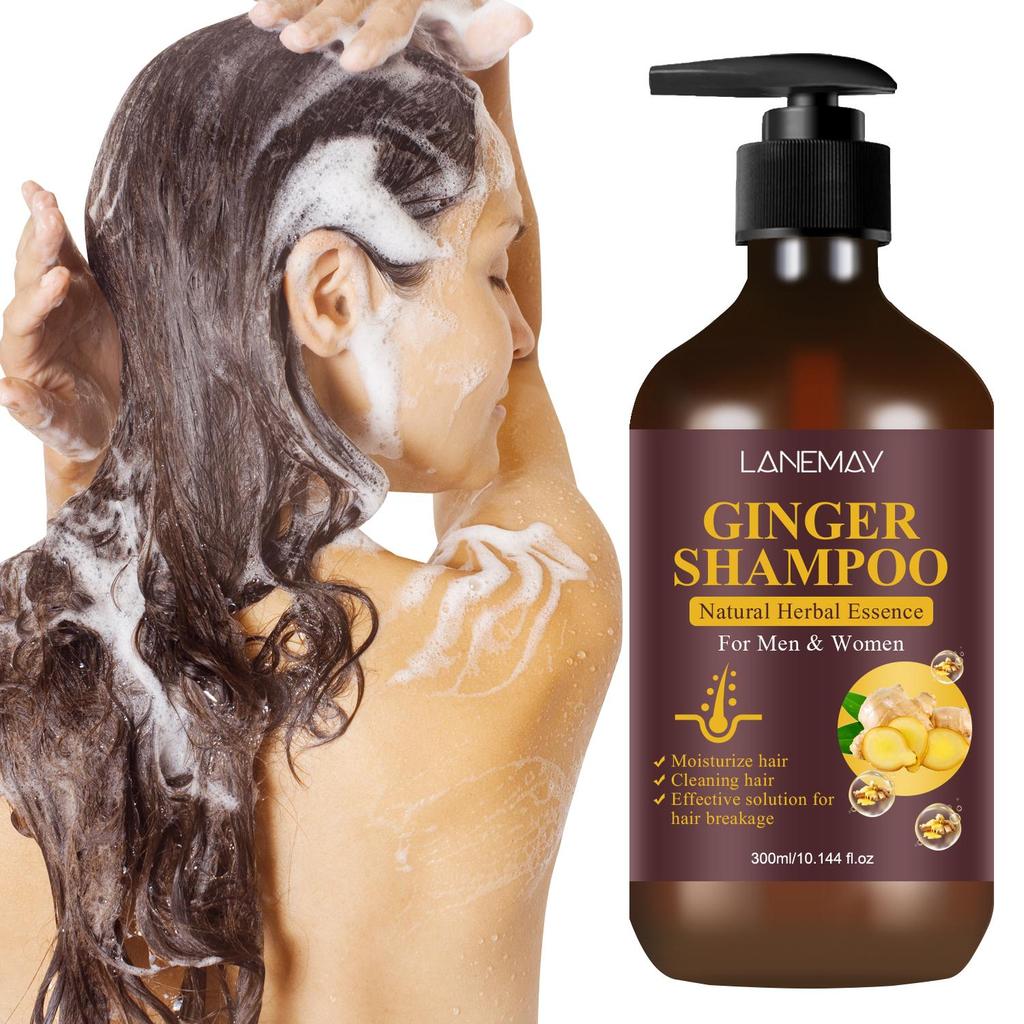 Shampoing au gingembre : nettoie et hydrate efficacement les cheveux, renforce et nourrit les cheveux, réduit les pointes fourchues et la casse, 300 ml