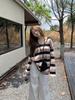 Hong Kong Retro Striped Sun Protection Loose Slimming Women's Long Sleeve T-shirt