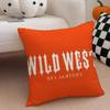 Fashion Star Fans Gift CCentral Cee Cushion Cover Linen Pillow Case Soft Breathable Protective Couch Room Decoration