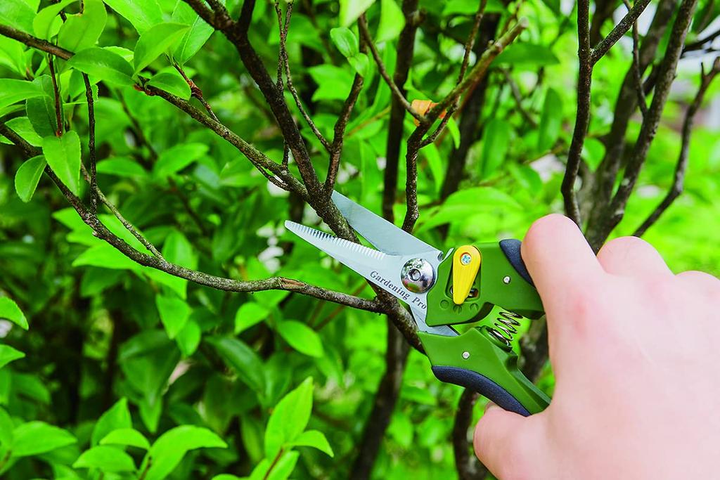 Set unelte de grădină KAKURI Floral Fresh Set profesional de grădinărit, 2 piese (Foarfece de grădinărit/Foarfece universale), Grădinărit, Foarfece, Flori, Plante,