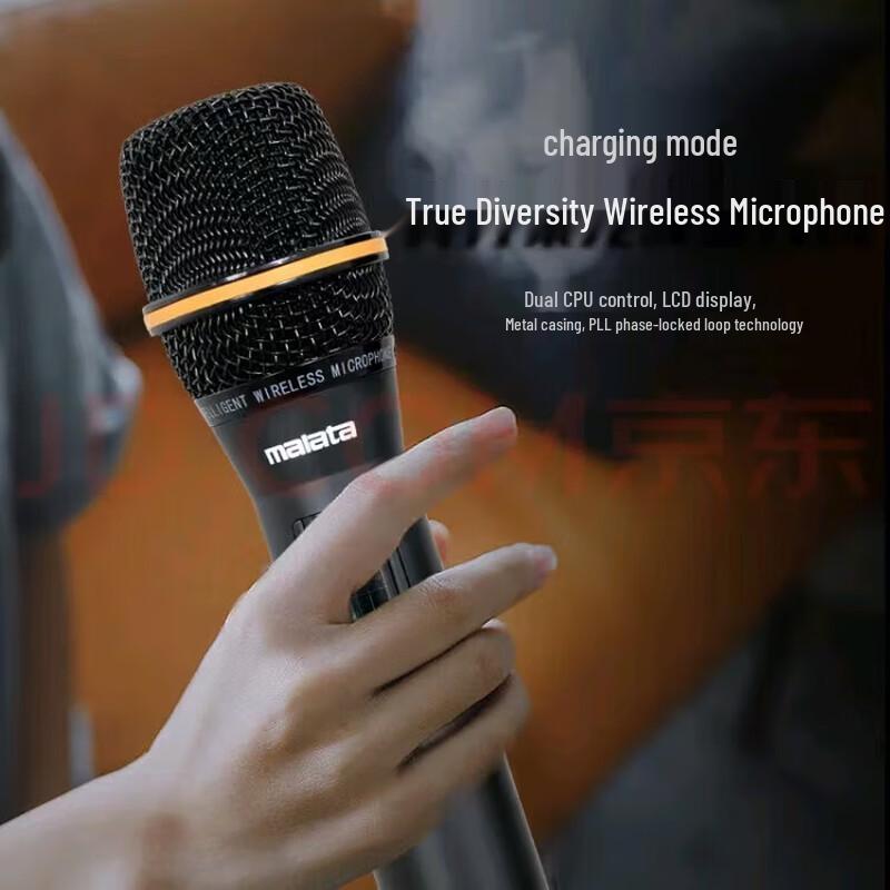 Malata M+9035B New Juding Portable Trolley Speaker CN plug (adapter included)