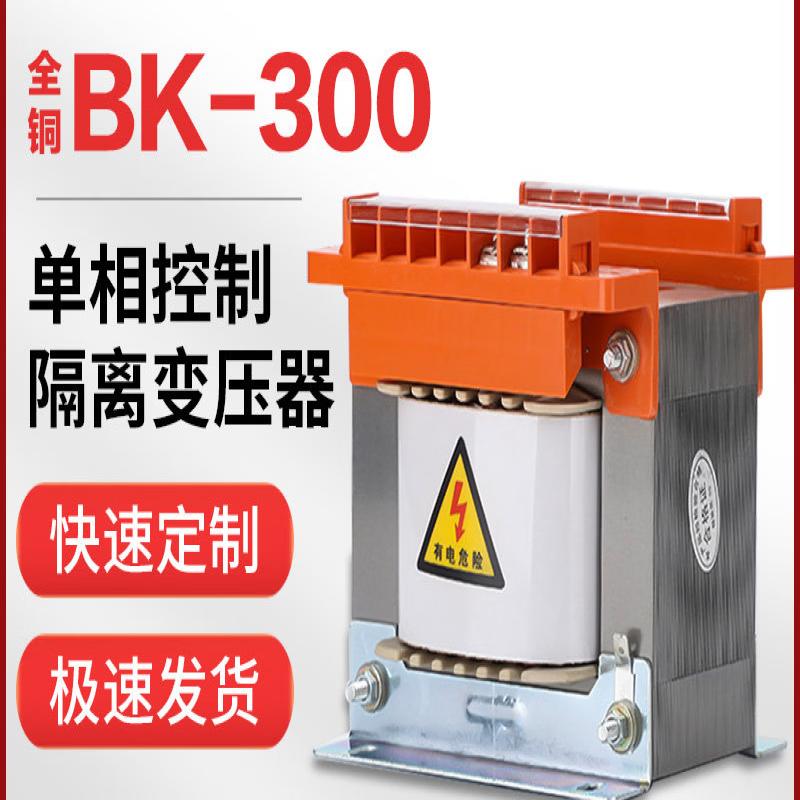 

Rongyu BK-300VA Single-Phase 1:1 Isolation Transformer