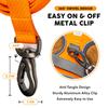 Embark Pets Adventure Leash for Dogs, Orange, 150cm (length) x 2.5cm (width)