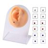 12Pcs Magnetic Earring Piercings  Cartilage Nose Ring   Non Pierced Jewelry