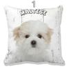 1PC 45*45cm Nette Hund Yorkie Kissen Fall Mops Kissen Sofa Auto Bett Sofa Kissen Fall Schlafzimmer dekoration Kissen Abdeckung