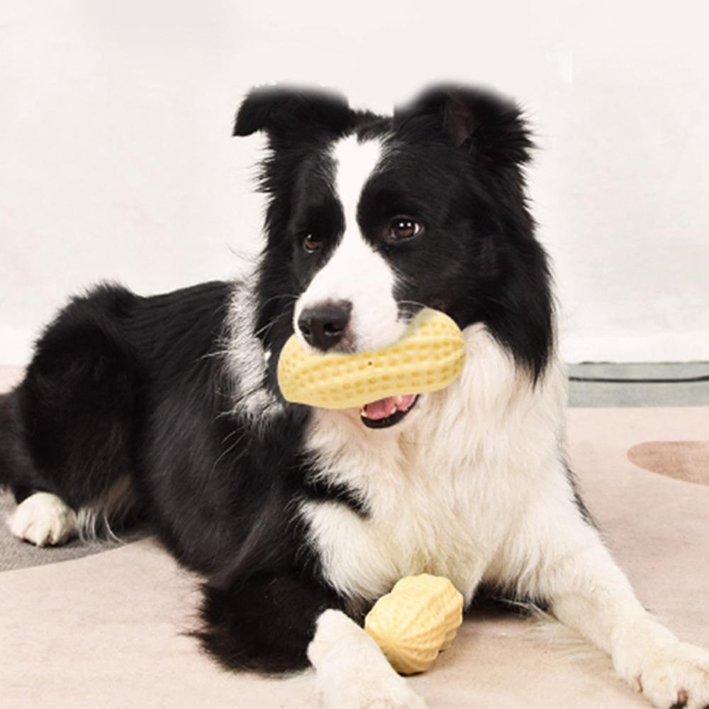Peanut Shape Squeaky Dog Toy Tpr Teething Chew Toy Dog Boredom Relief Toy Home Alone Entertainment