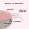 Pet Nail Clipper - Cat Nail Clipper - Stainless Steel - LED - Electric Nail Grinder - Two-in-one - Suitable for Cats and Dogs - Universal Nail Clipper