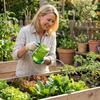 Multicolor Long Mouthed Watering Kettle 2L Semi-transparent Gardening Watering Bottle Drop-resistant Stainless Tube Garden Tool