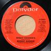 7inch Record BIONIC BOOGIE  Risky Changes PD14450 Polydor 1977 UK Dance  Electronica Used