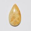 Natural Fossil Coral Gemstone Cabochon, Top Quality Indonesians Fossil Coral Cabochon Craft Supply 35 Carats Pear Shape, Jewelry Making