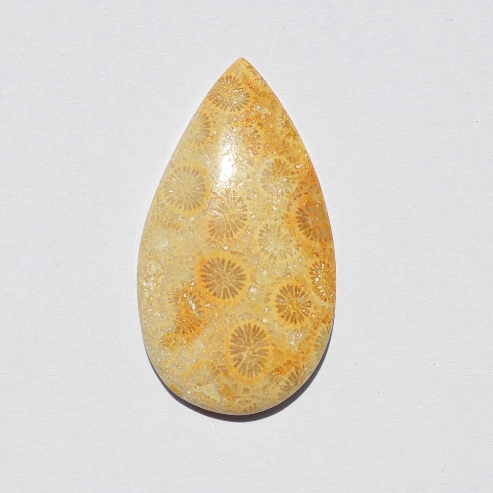 Natural Fossil Coral Gemstone Cabochon, Top Quality Indonesians Fossil Coral Cabochon Craft Supply 35 Carats Pear Shape, Jewelry Making