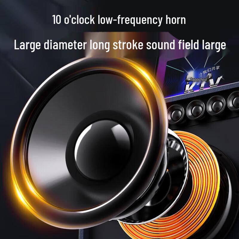 Sansui Q109 Portable Outdoor Karaoke Speaker System CN Plug (adapter Included)