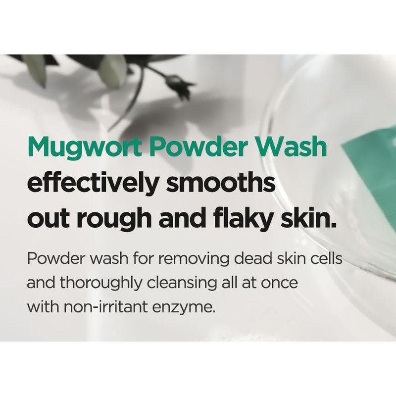 Isntree - Mugwort Calming Powder Wash