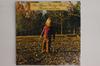 LP Record ALLMAN BROTHERS BAND  Brothers And Sisters 00602537287987 Mercury 2013 Europe Rock Used