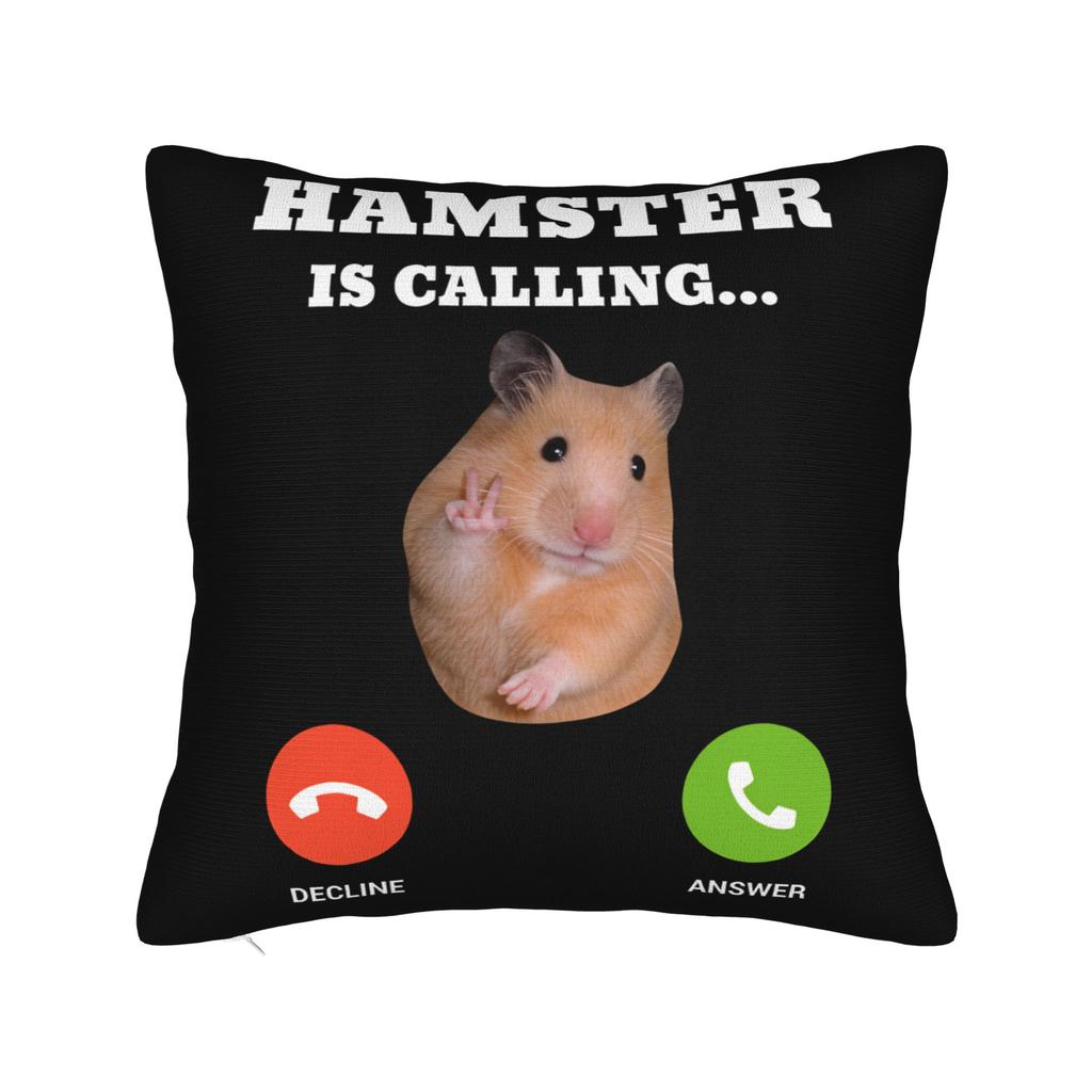 Hamster Faded Funny s Style Square Pillow Cases Cushion Cover Fashion Zippered Decorative Pillowcase for Home cm