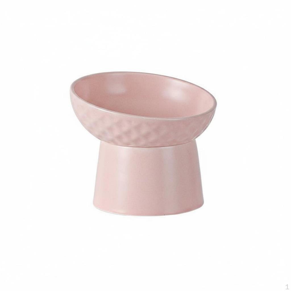 Elevated Ceramic Cat Bowl Ergonomic Stable Base for Kitten Owners, Feeding