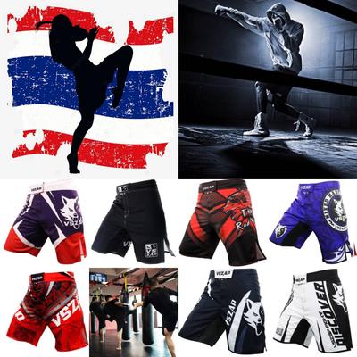 MMA Shorts hommes pantalons de boxe Kickboxing entraînement gymnase respirant Arts martiaux Muay Thai Cage vêtements de combat