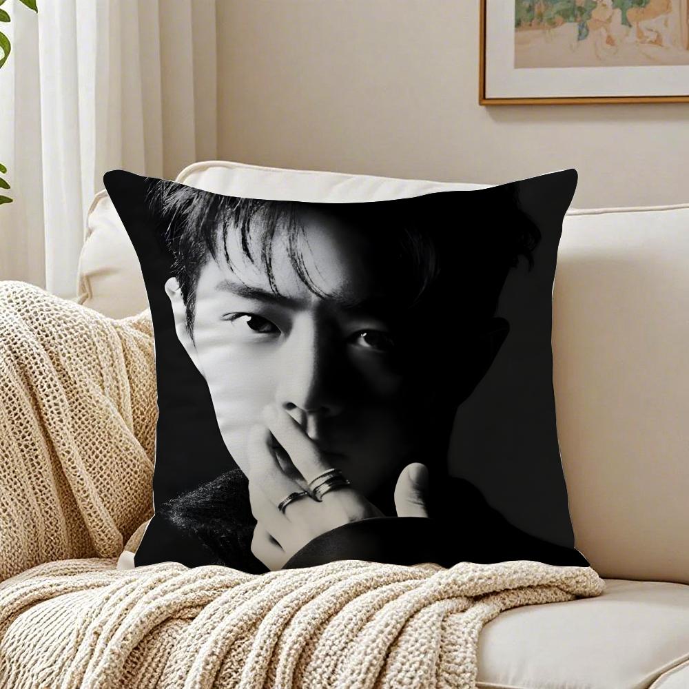 S-Sean Xiao Idol Fan Exclusive Cushion Cover Pillowcase Anti-Dustmite Living Room Sofa Decor Cushion Room