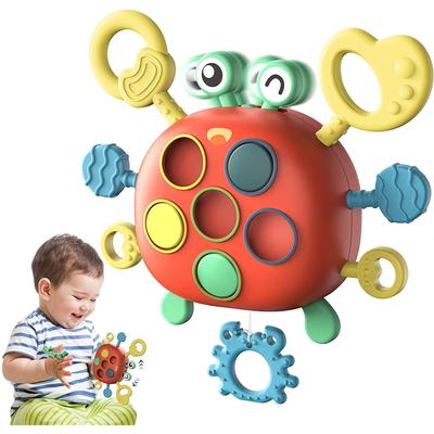Hračky pro miminka Montessori pro 18 měsíců, Smyslové hračky pro batolata, Kojence Hračky pro 1 2 roky Chlapec Dívka Dárky k narozeninám Aktivita za provázku Motorické dovednosti