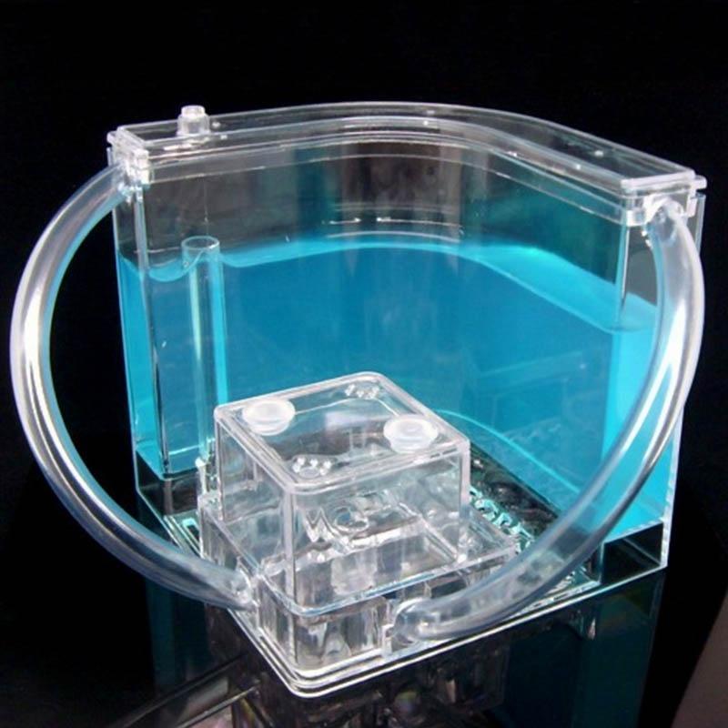 Interesse Coltivare Formicario a Torre Genitori e Bambini Giocattoli Educativi