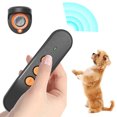 Köpek – Eğitim ve Öğretim Araçları