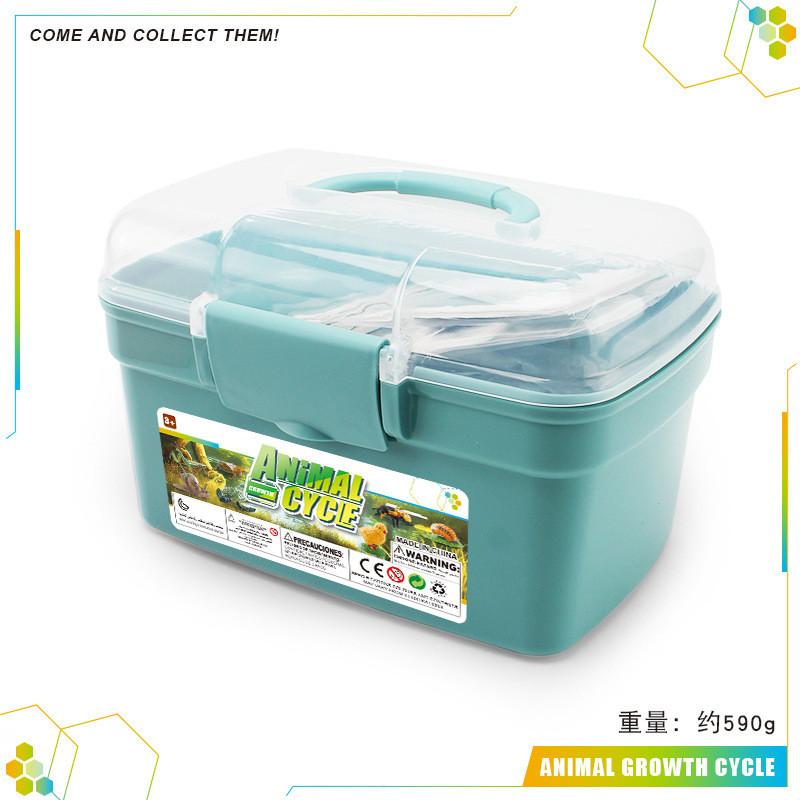 

Detailed Butterfly Bee And Frog Life Cycle Models In Colorful Storage Box For Kids Blue Storage Box